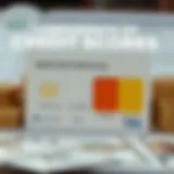 Visual representation of credit score components