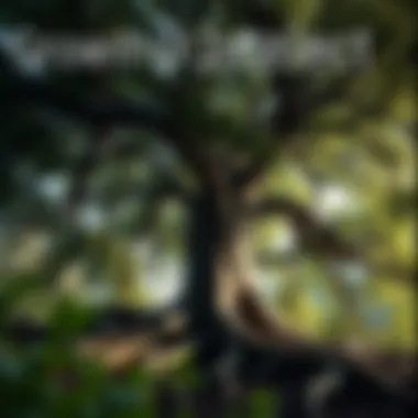 An ancient tree with deep roots and lush foliage, illustrating the growth of intellect over time.