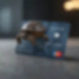 Overview of the US Bank Turtle Card highlighting its key features