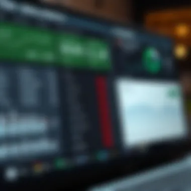 A detailed view of bank check balance management tools on a computer screen.