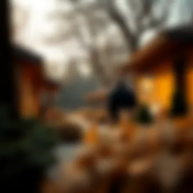 Visual analysis of the benefits and risks associated with gilded mortgages