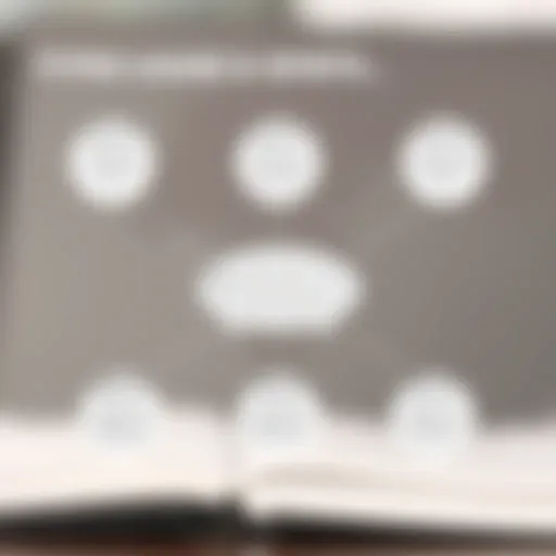 Graphical representation of World Bank loan types