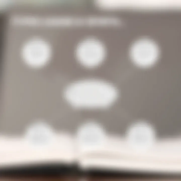 Graphical representation of World Bank loan types